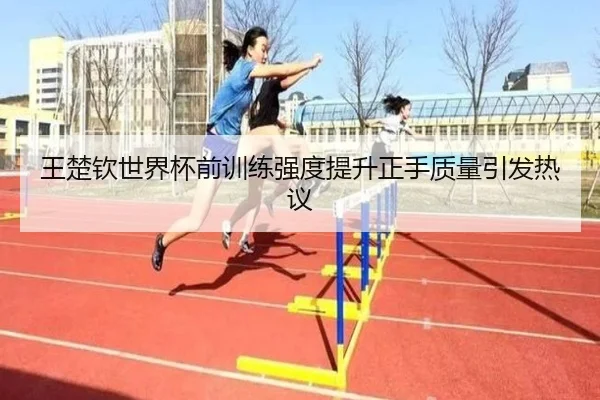 王楚钦世界杯前训练强度提升正手质量引发热议